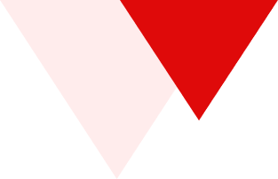 forme flèche